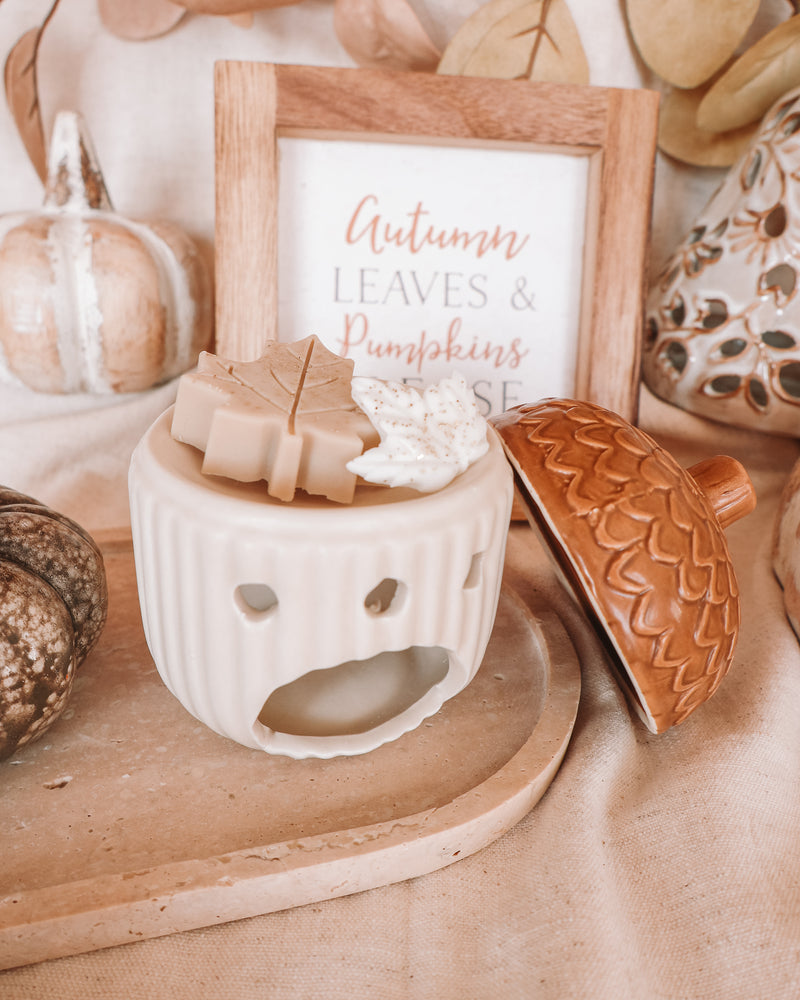 Acorn Ceramic Wax Melter