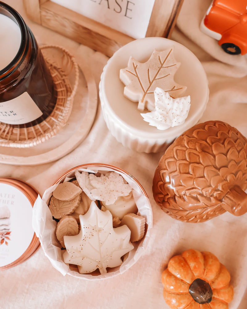 Acorn Ceramic Wax Melter