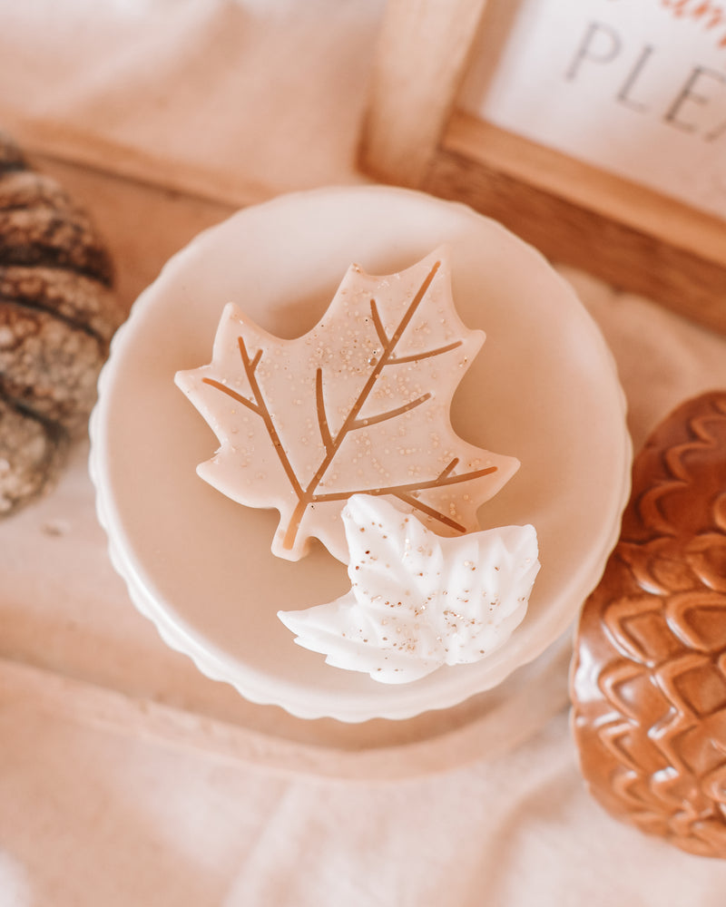 Acorn Ceramic Wax Melter