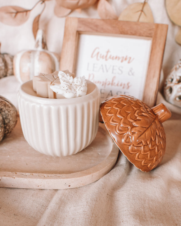 Acorn Ceramic Wax Melter