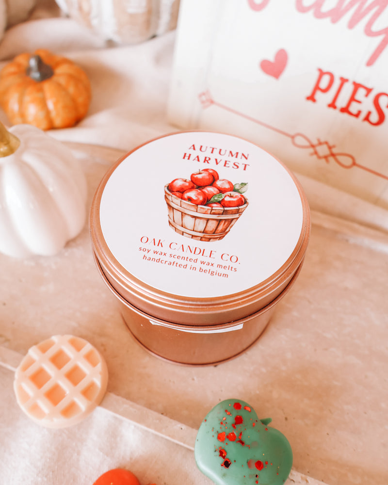Autumn Harvest Tin Jar Wax Melts