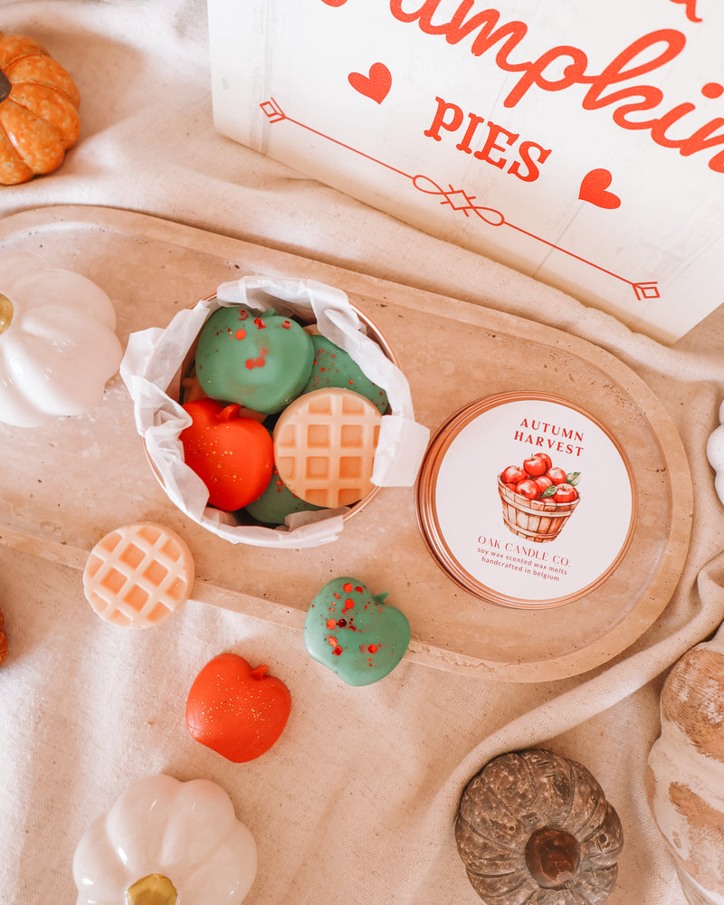 Autumn Harvest Tin Jar Wax Melts