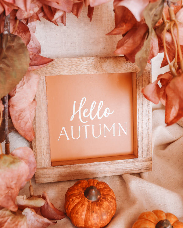 Hello Autumn Wooden Frame Sign