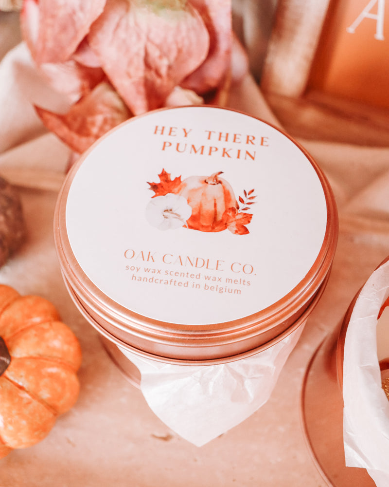 Hey There Pumpkin Tin Jar Wax Melts