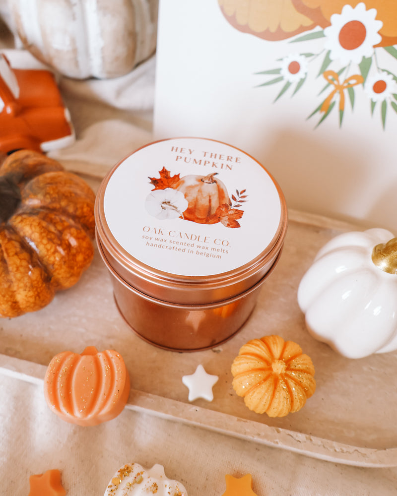 Hey There Pumpkin Tin Jar Wax Melts