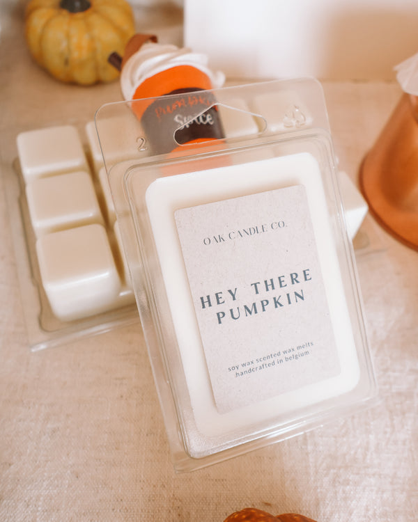 Hey There Pumpkin Wax Melts