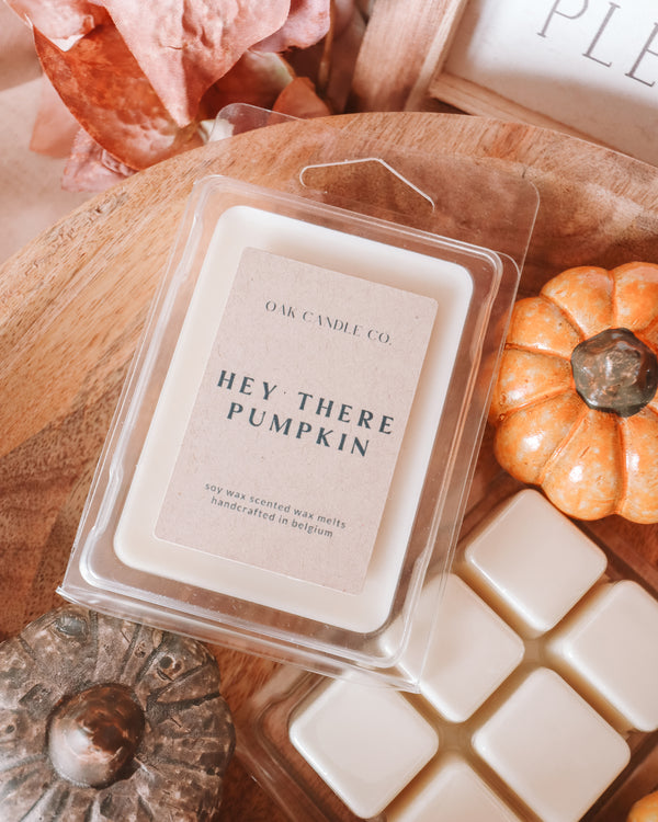 Hey There Pumpkin Wax Melts