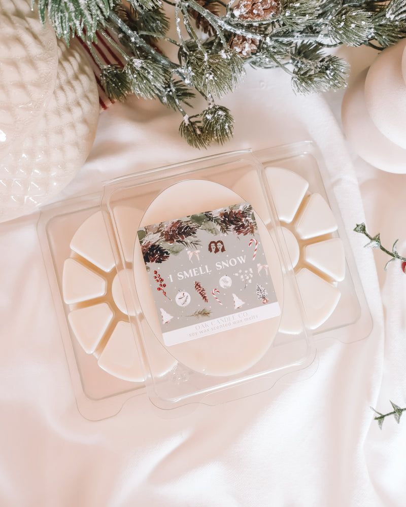 I Smell Snow Gilmore Girls Wax Melts