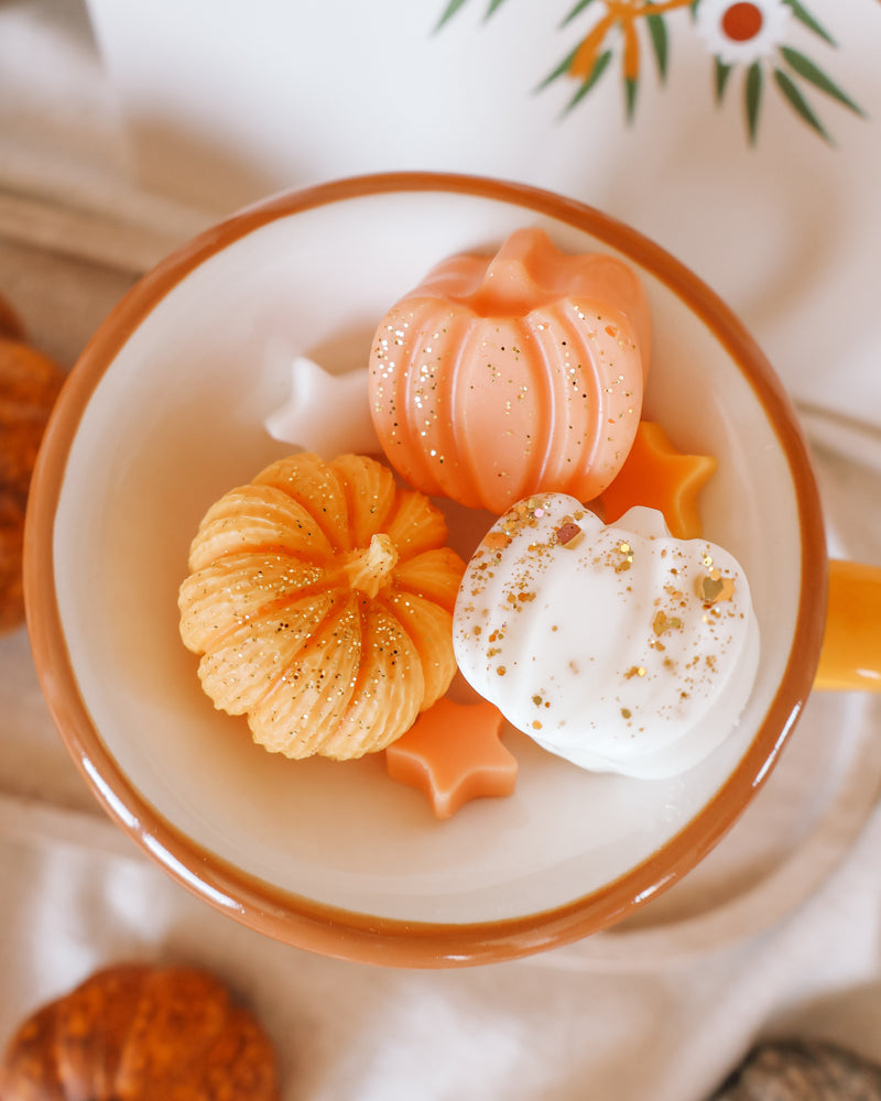 Pumpkin Spice & Everything Nice Mug Wax Melter